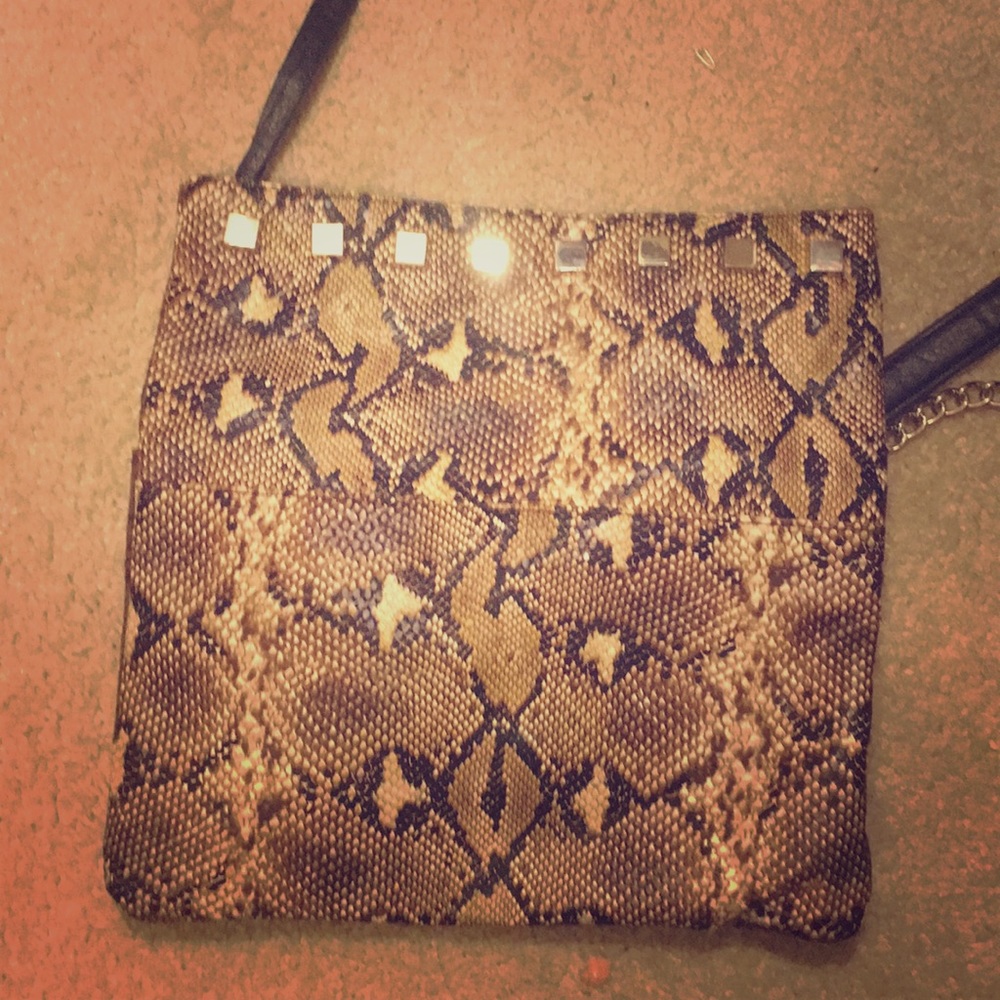 Snake Skin Purse